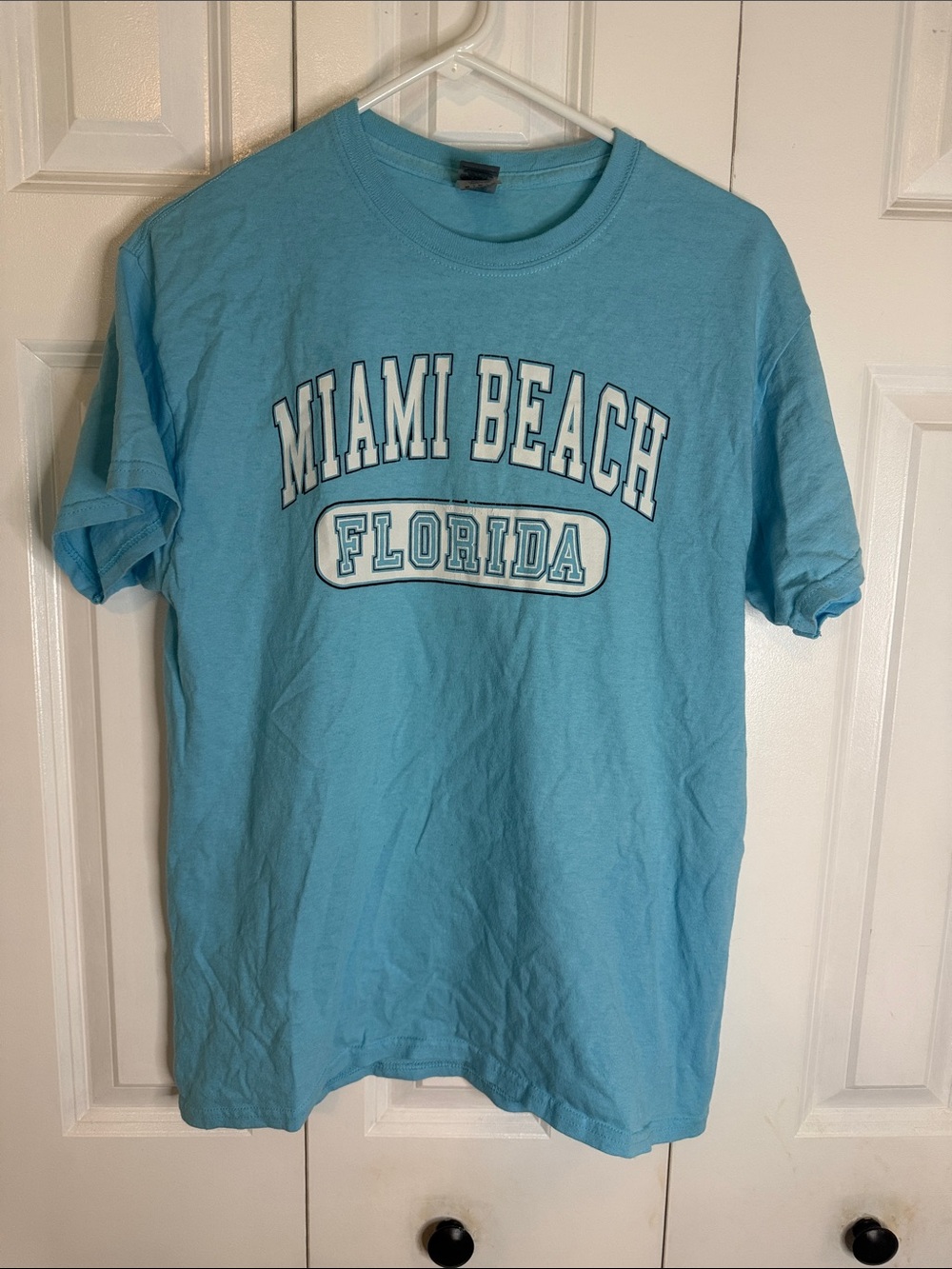 Gildan Miami Beach Florida Graphic Tee - Light Blue